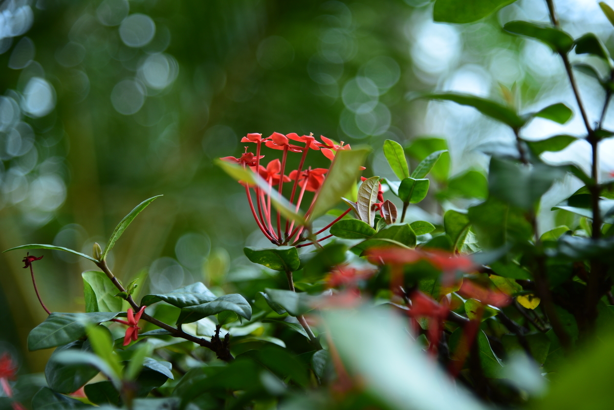 f:id:psato7:20211013070801j:plain