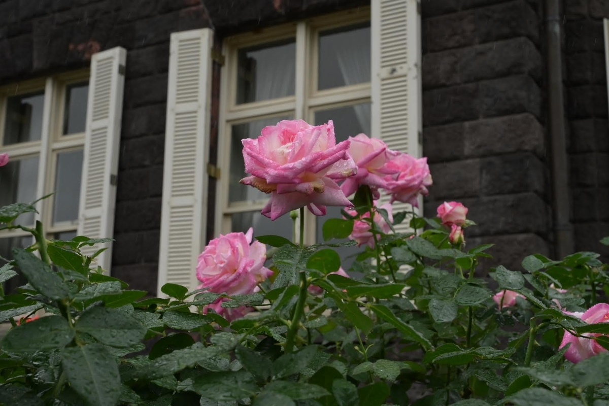 f:id:psato7:20211021072734j:plain