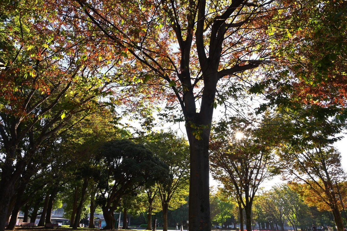 f:id:psato7:20211022212513j:plain