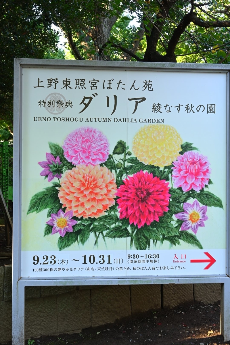 f:id:psato7:20211022212751j:plain