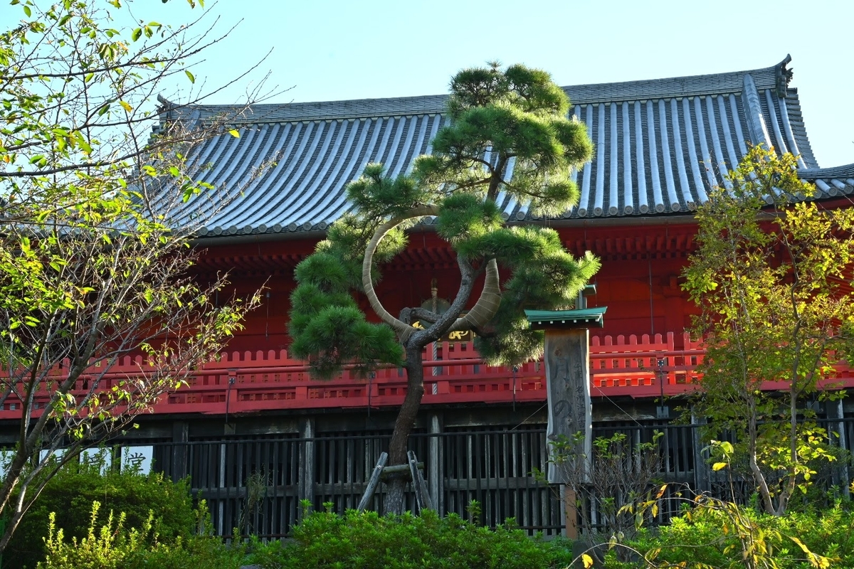 f:id:psato7:20211022213109j:plain