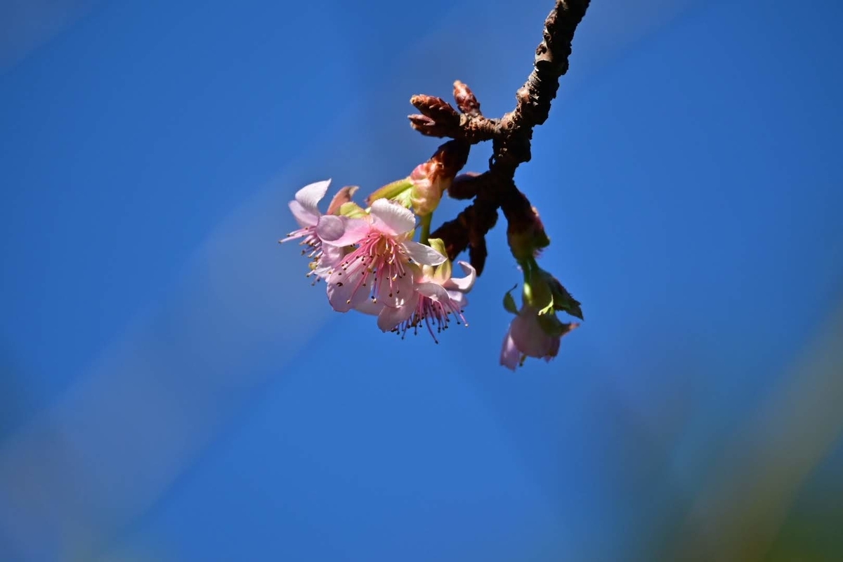 f:id:psato7:20211022213257j:plain