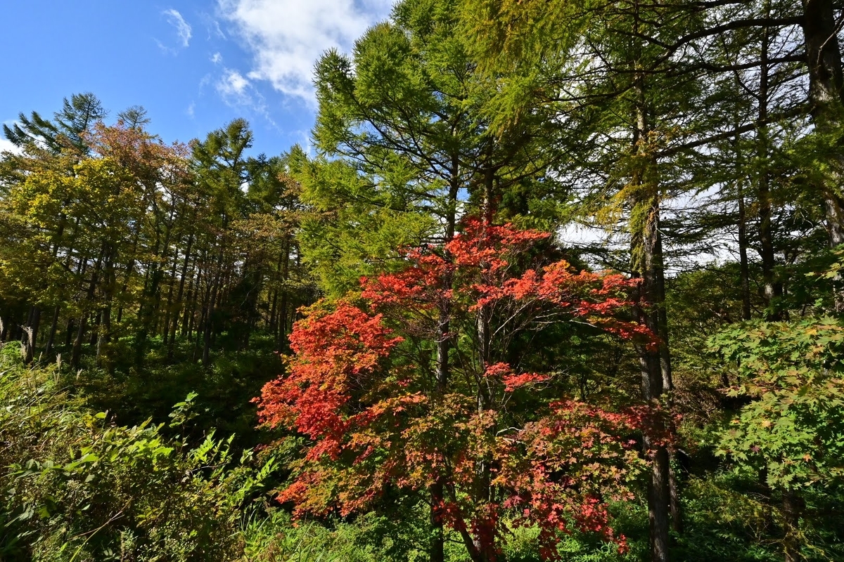 f:id:psato7:20211027074128j:plain