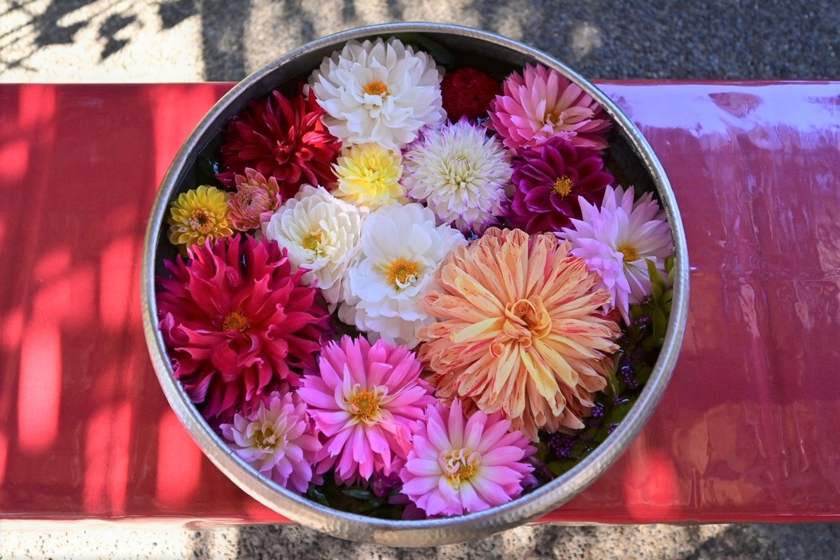 f:id:psato7:20211030072905j:plain