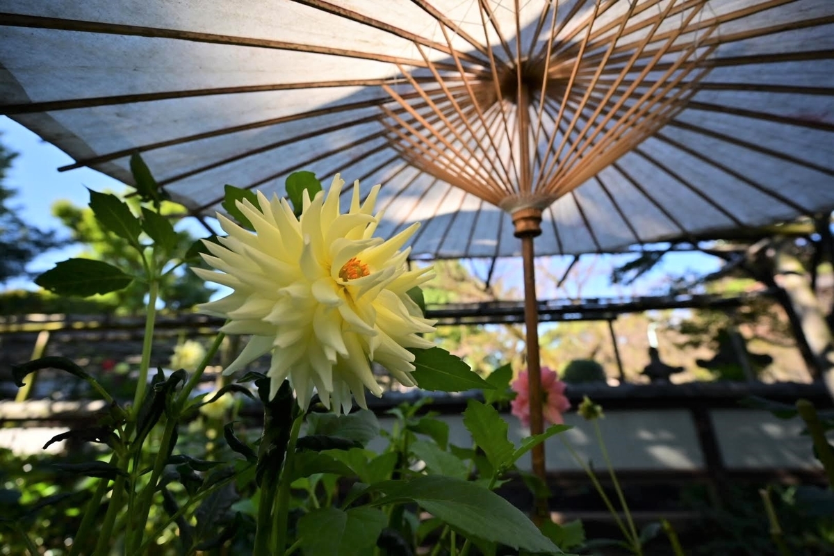 f:id:psato7:20211030073112j:plain