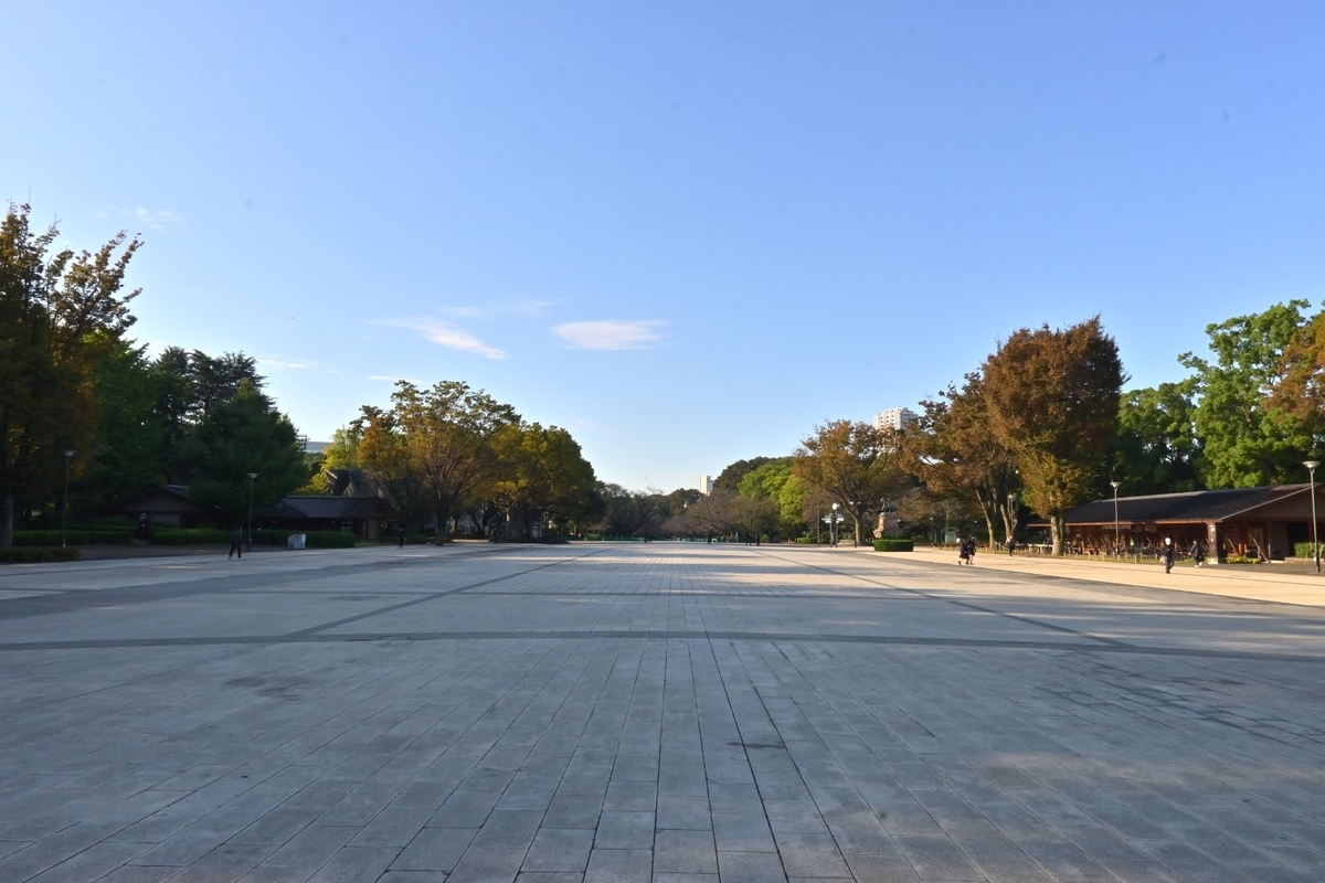 f:id:psato7:20211103172652j:plain