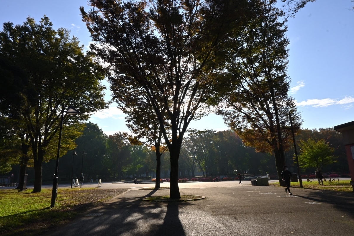 f:id:psato7:20211103172826j:plain