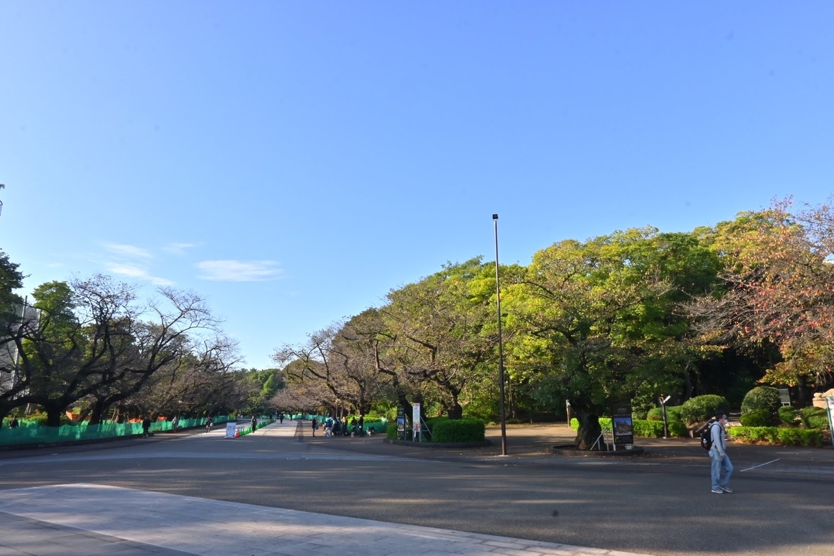 f:id:psato7:20211103172911j:plain