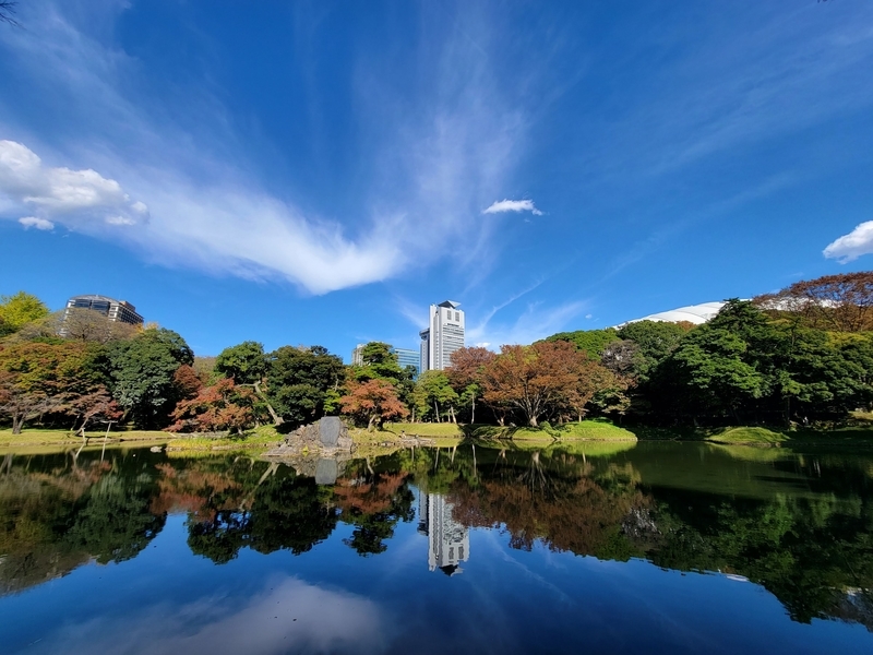 f:id:psato7:20211112210900j:plain