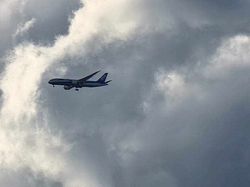 f:id:psato7:20211112211551j:plain