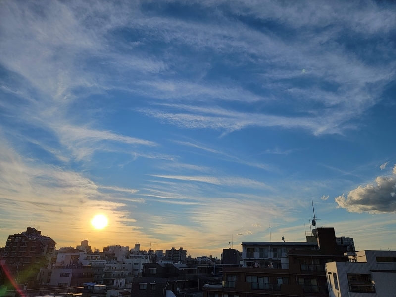 f:id:psato7:20211112212339j:plain