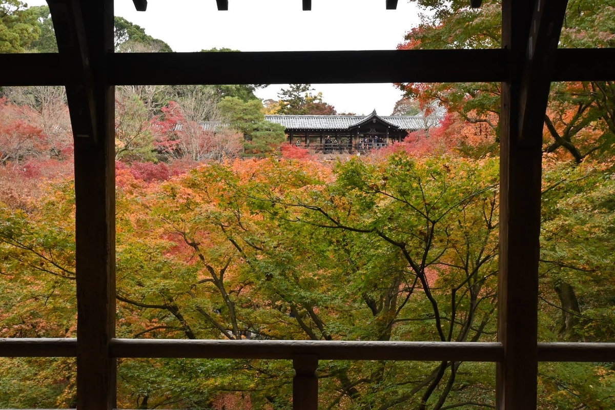 f:id:psato7:20211114155234j:plain