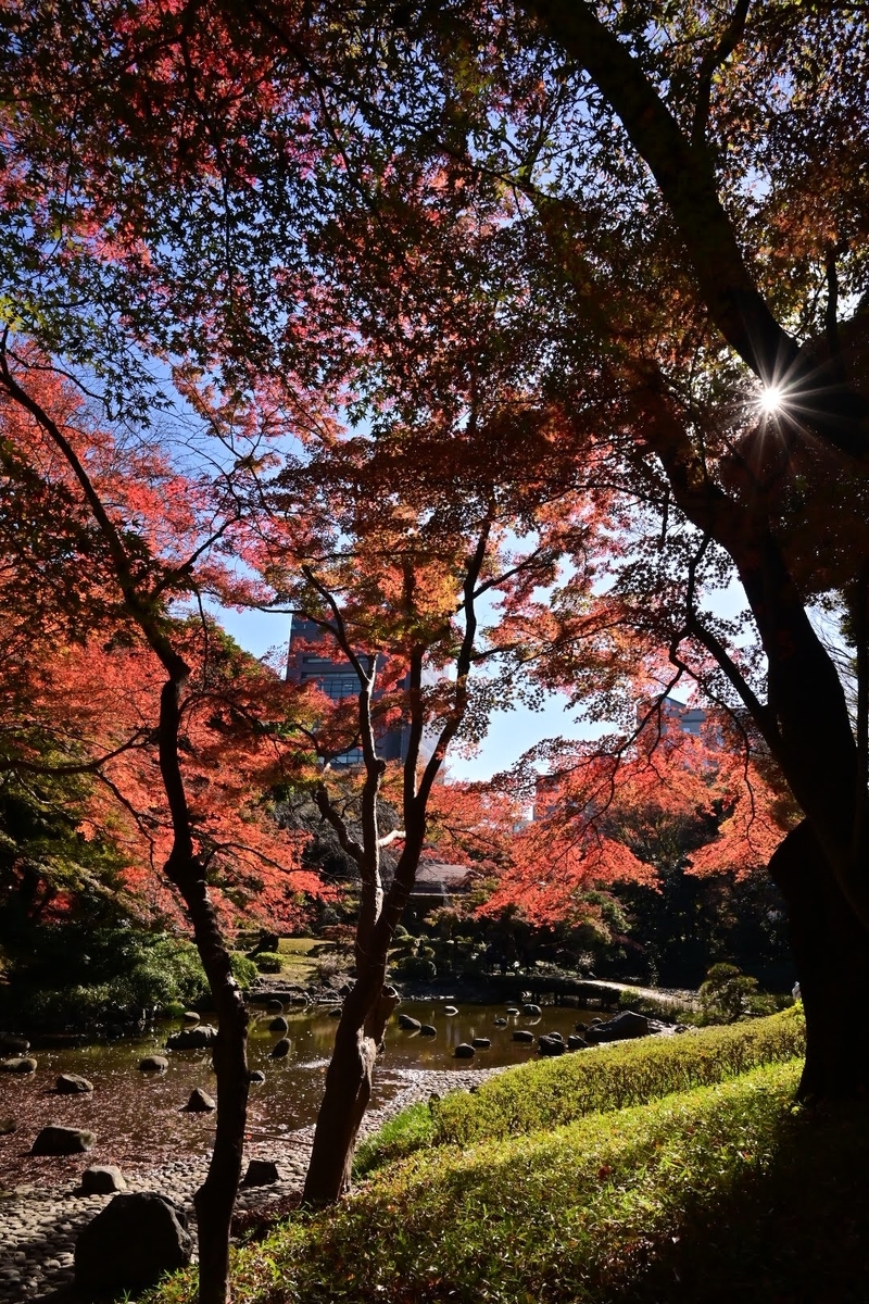 f:id:psato7:20211125061723j:plain