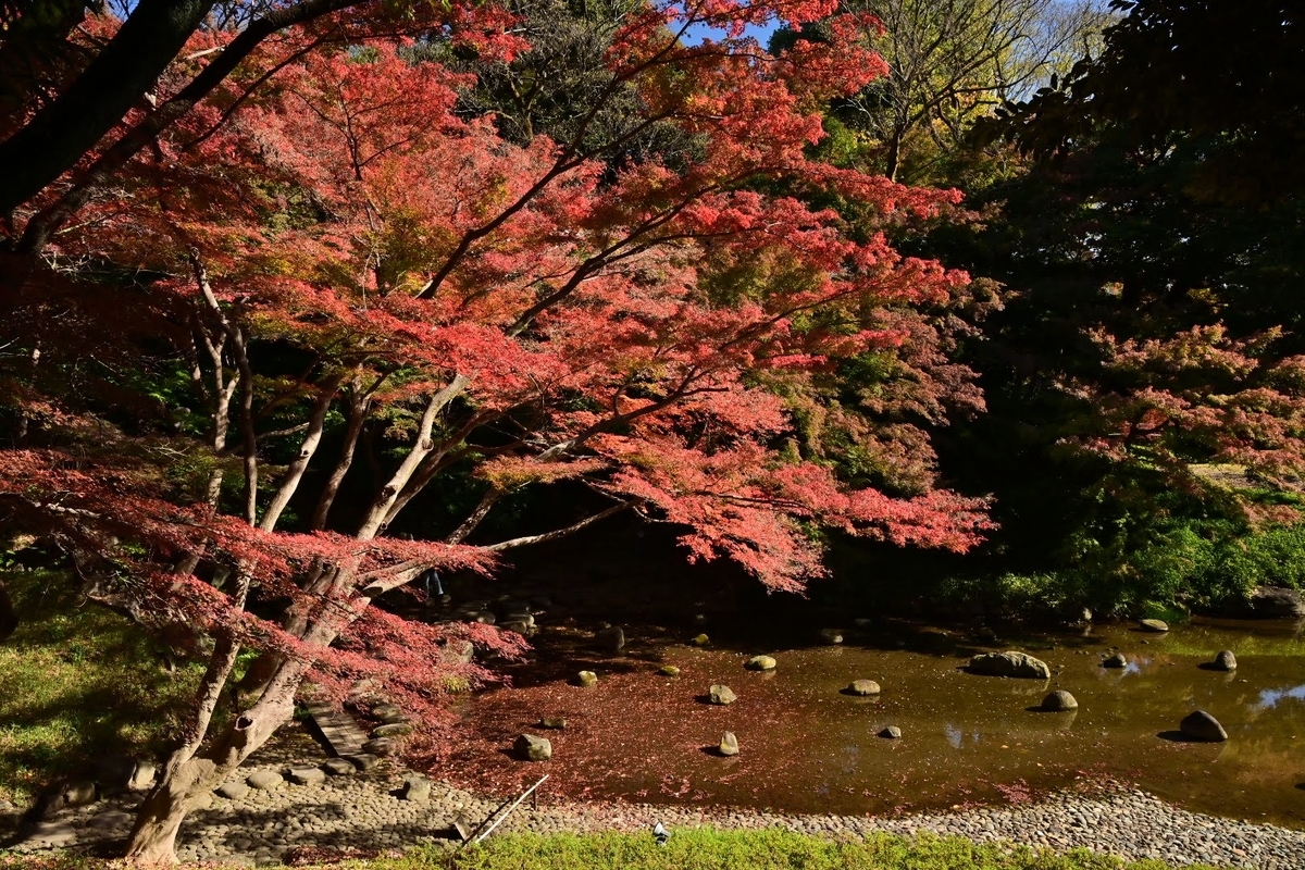 f:id:psato7:20211125062809j:plain