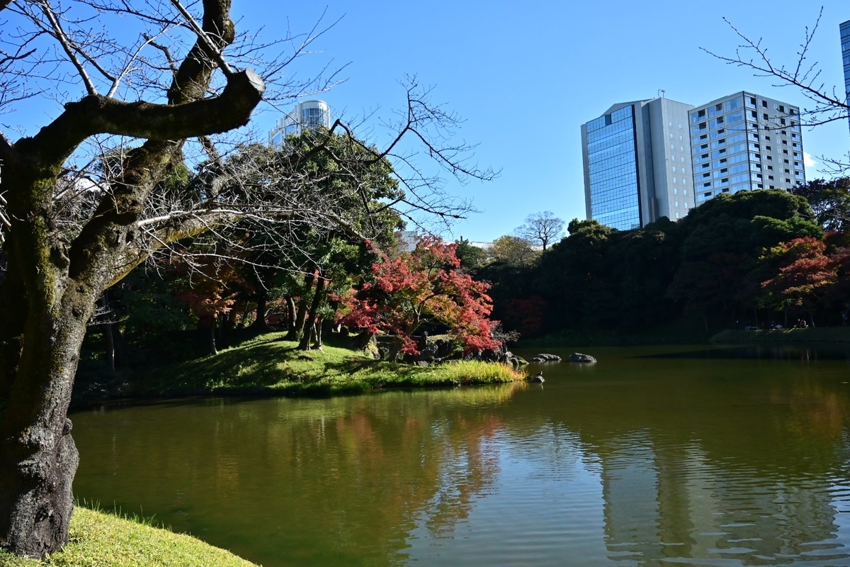 f:id:psato7:20211125063030j:plain