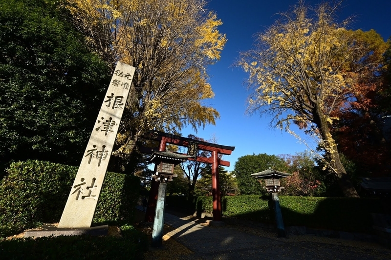 f:id:psato7:20211126184418j:plain