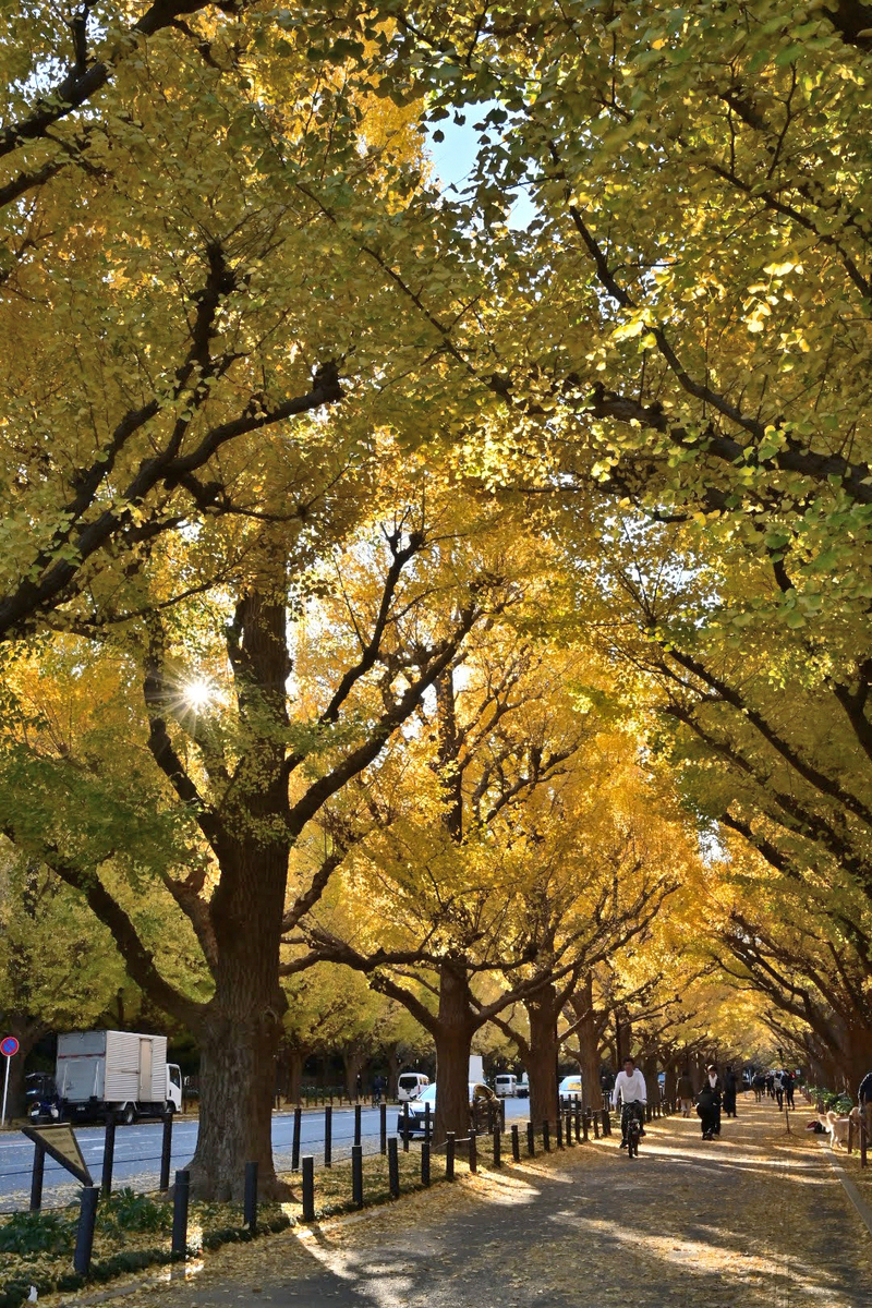 f:id:psato7:20211127081336j:plain