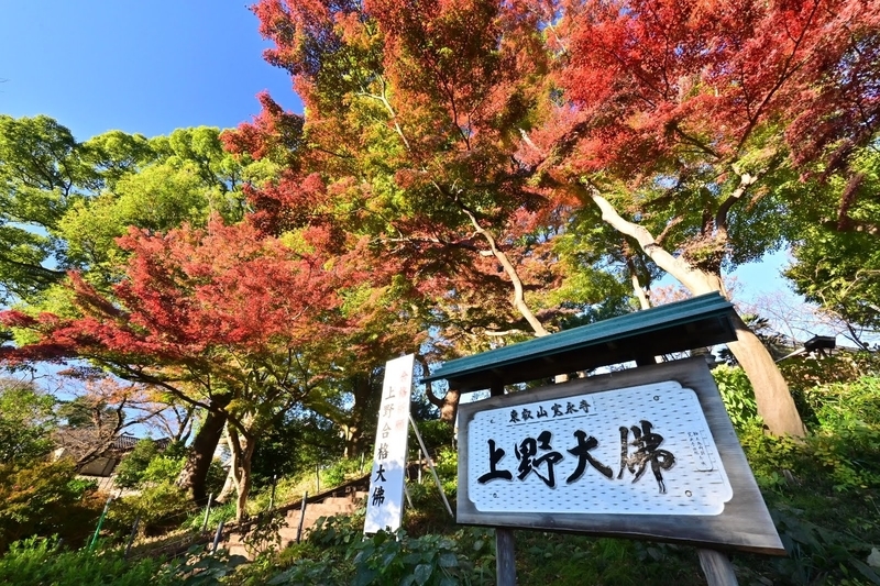 f:id:psato7:20211202124626j:plain