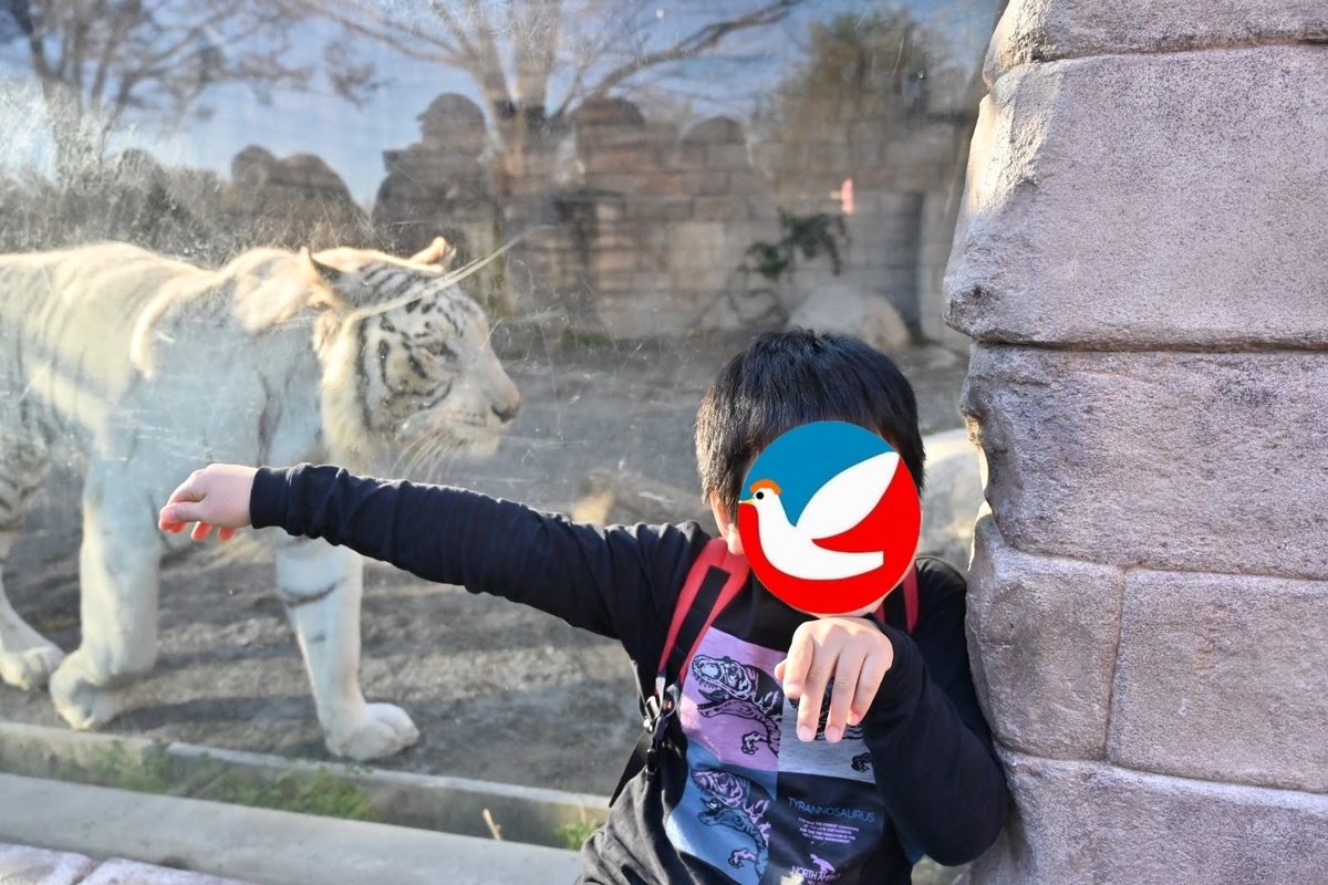 f:id:psato7:20211205071801j:plain