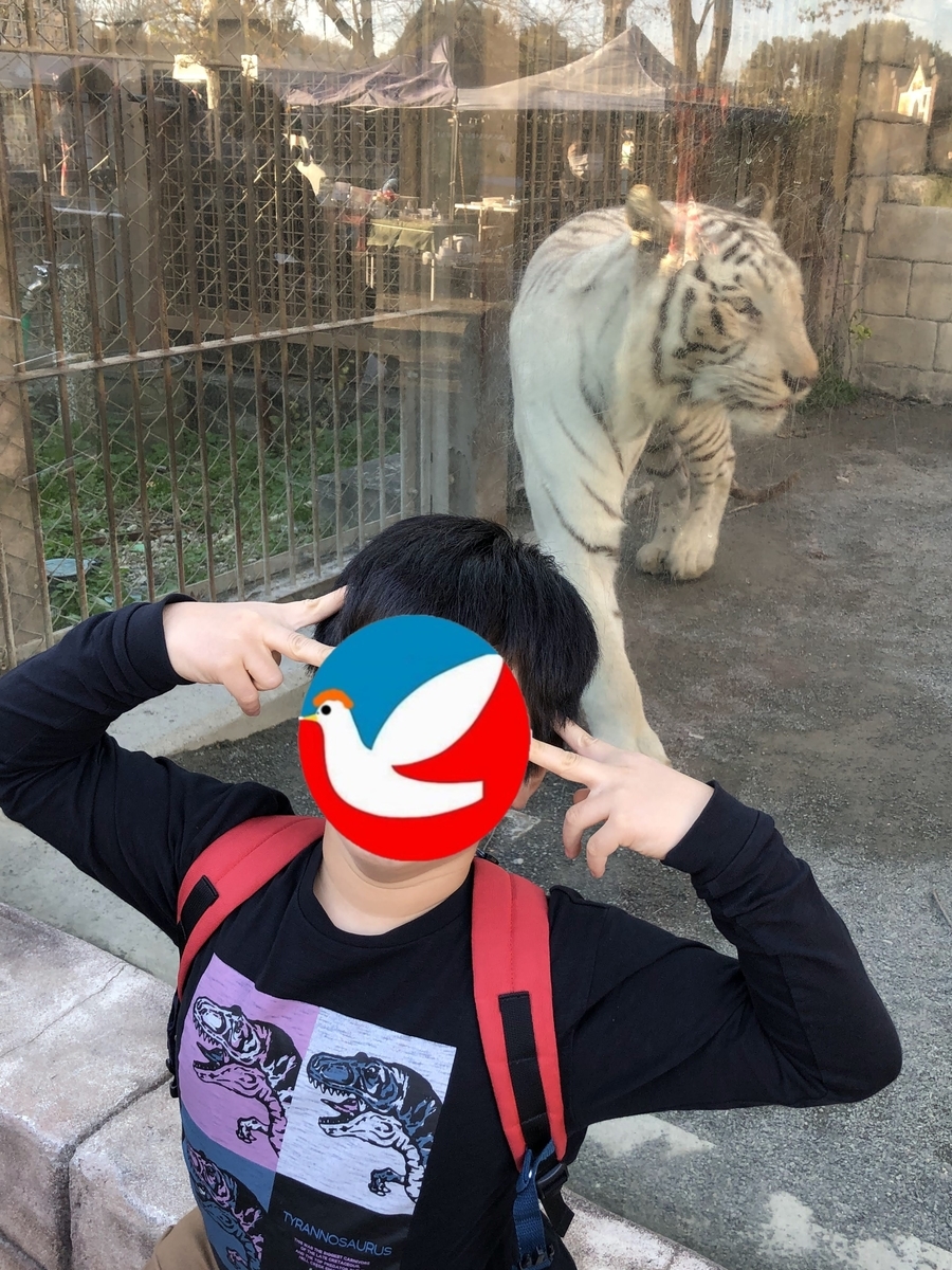 f:id:psato7:20211205072744j:plain