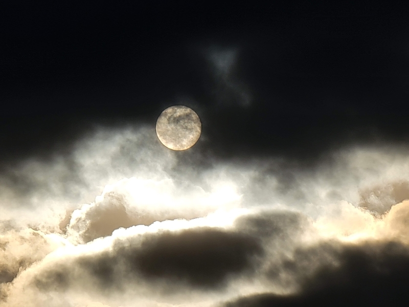 f:id:psato7:20211217203054j:plain