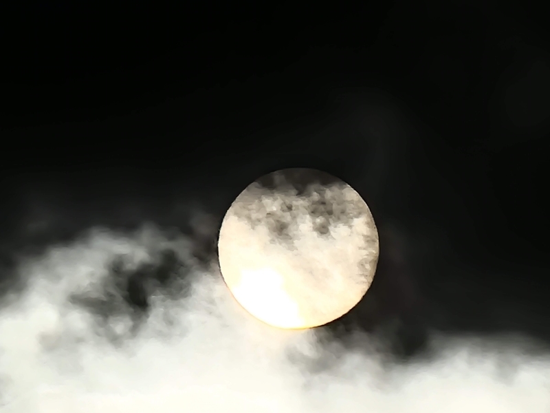 f:id:psato7:20211217203344j:plain