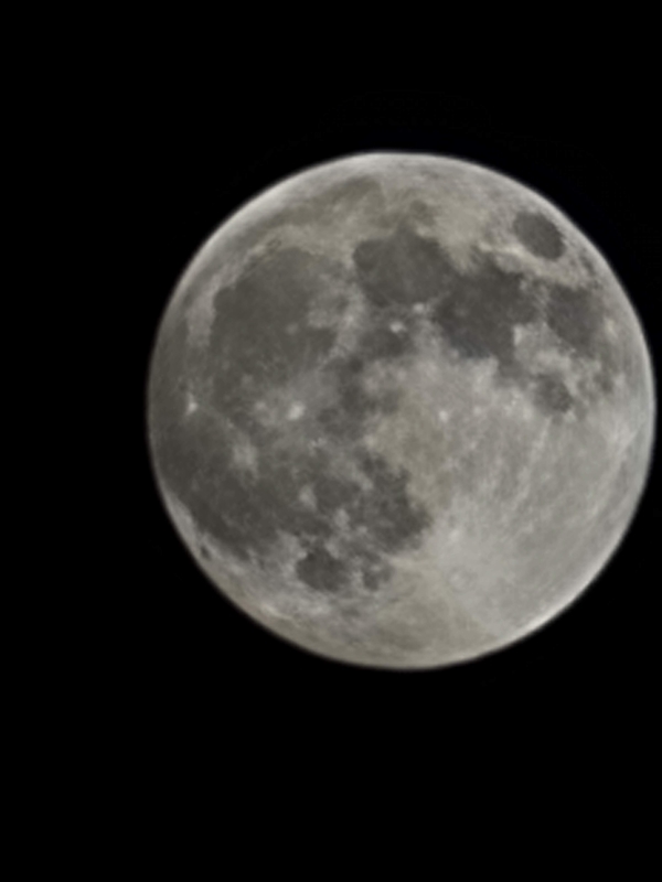 f:id:psato7:20211218221537j:plain