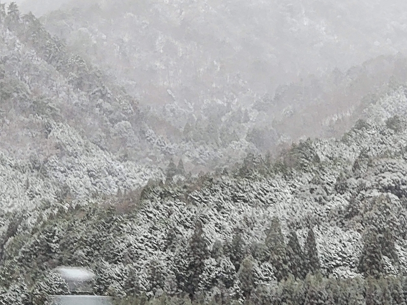 f:id:psato7:20211226202939j:plain