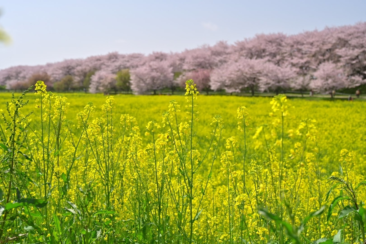 f:id:psato7:20211230101006j:plain