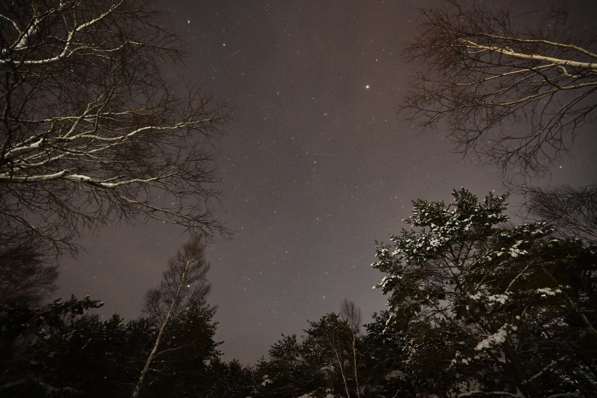 f:id:psato7:20211230101604j:plain