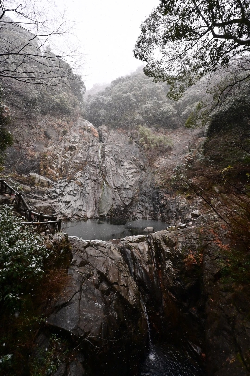 f:id:psato7:20211230101915j:plain