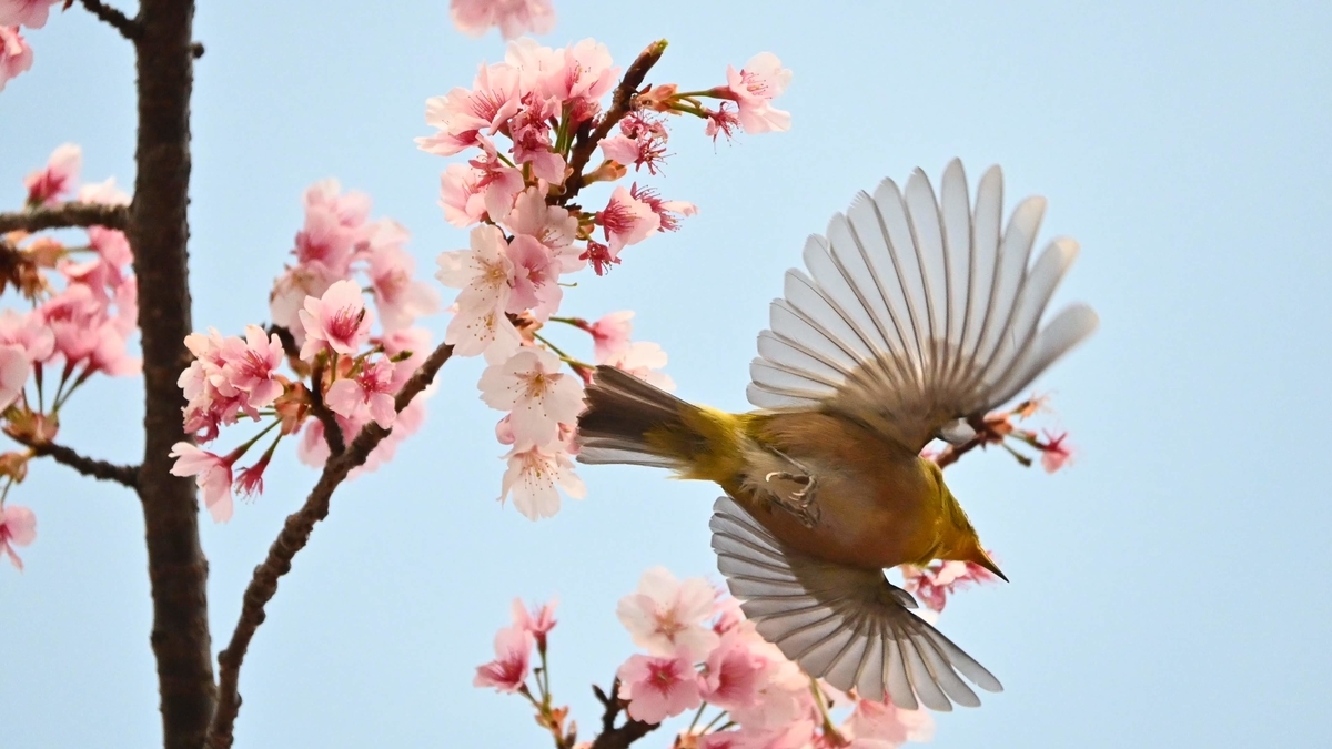 f:id:psato7:20211230104010j:plain