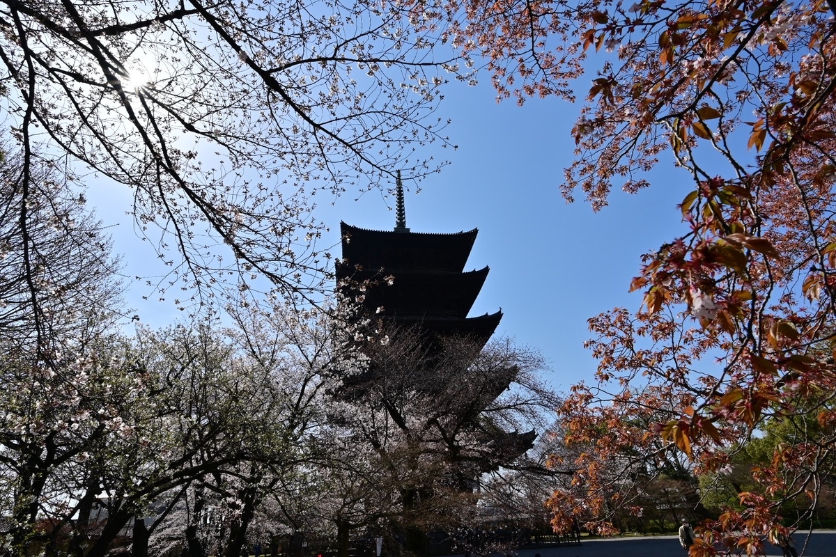 f:id:psato7:20211230105335j:plain