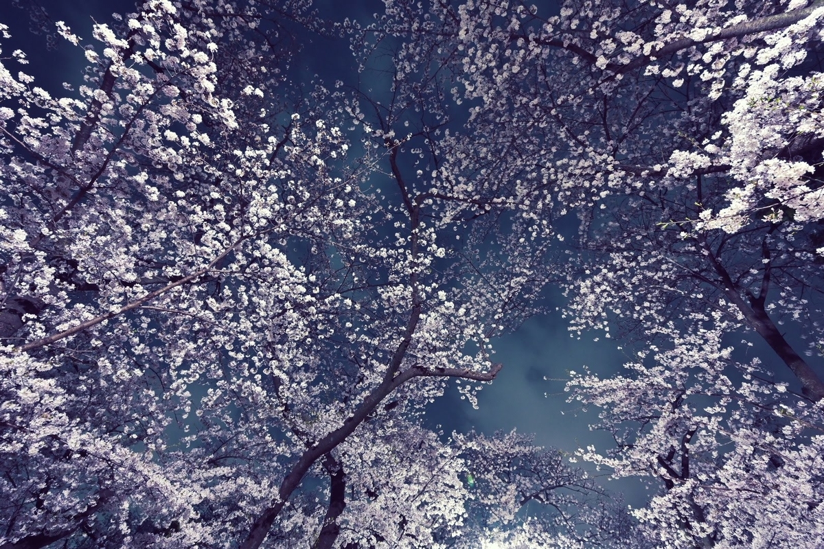 f:id:psato7:20211230105427j:plain