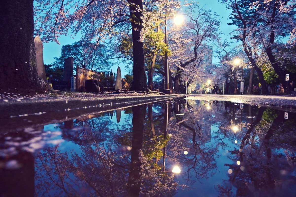 f:id:psato7:20211230105431j:plain