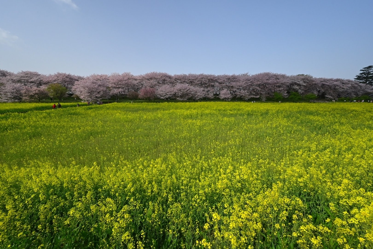 f:id:psato7:20211230105527j:plain