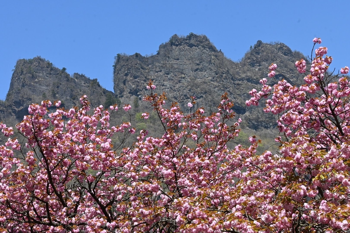 f:id:psato7:20211230105920j:plain