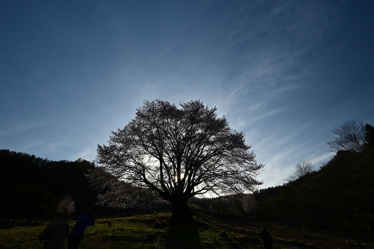 f:id:psato7:20211230110330j:plain