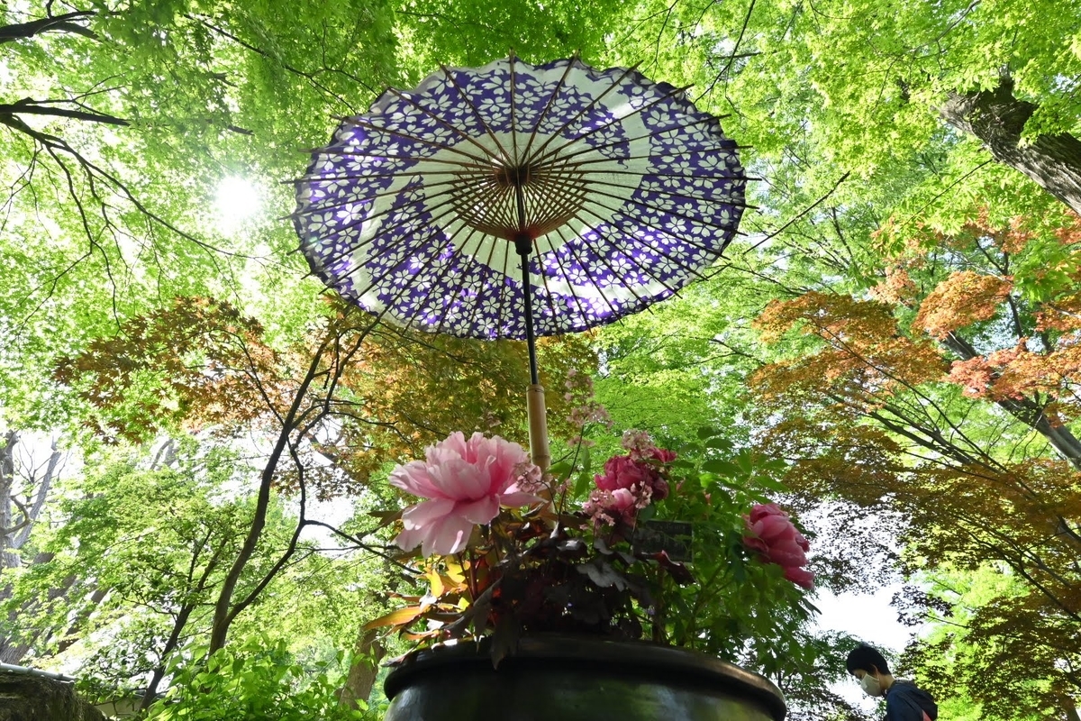 f:id:psato7:20211230110417j:plain