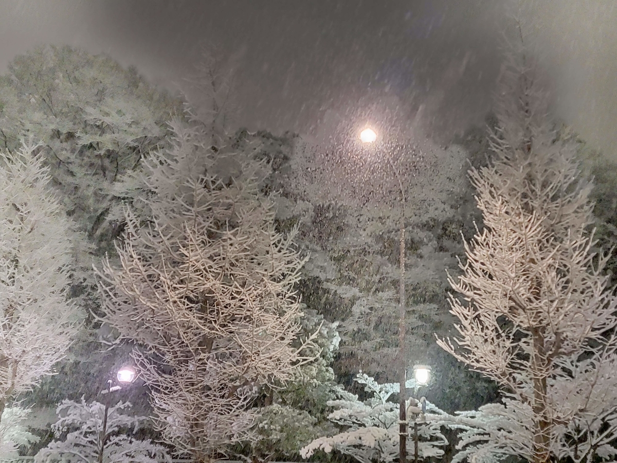 f:id:psato7:20220107053355j:plain