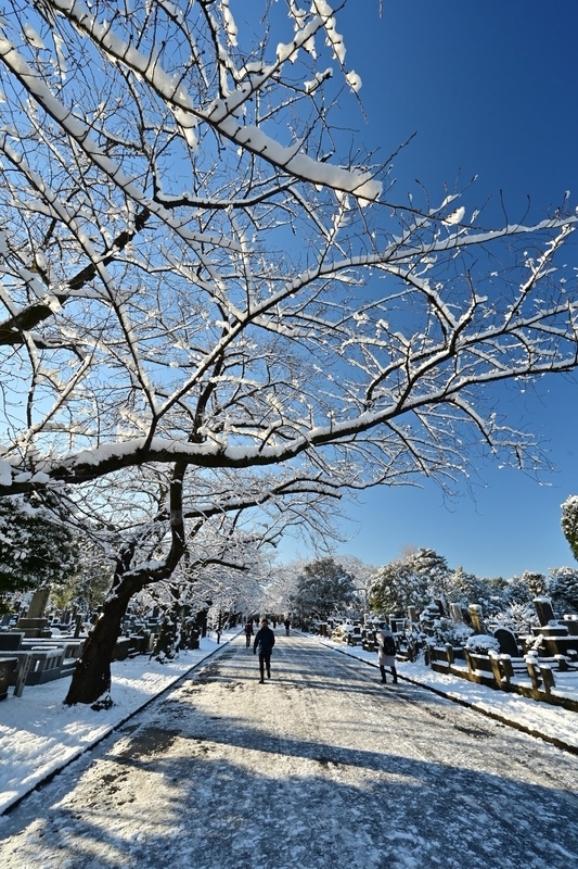 f:id:psato7:20220107212638j:plain