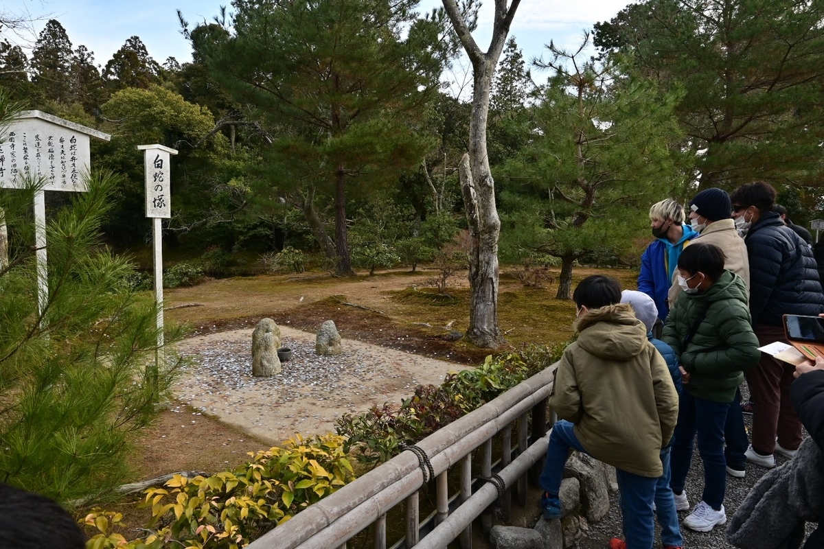 f:id:psato7:20220111052953j:plain