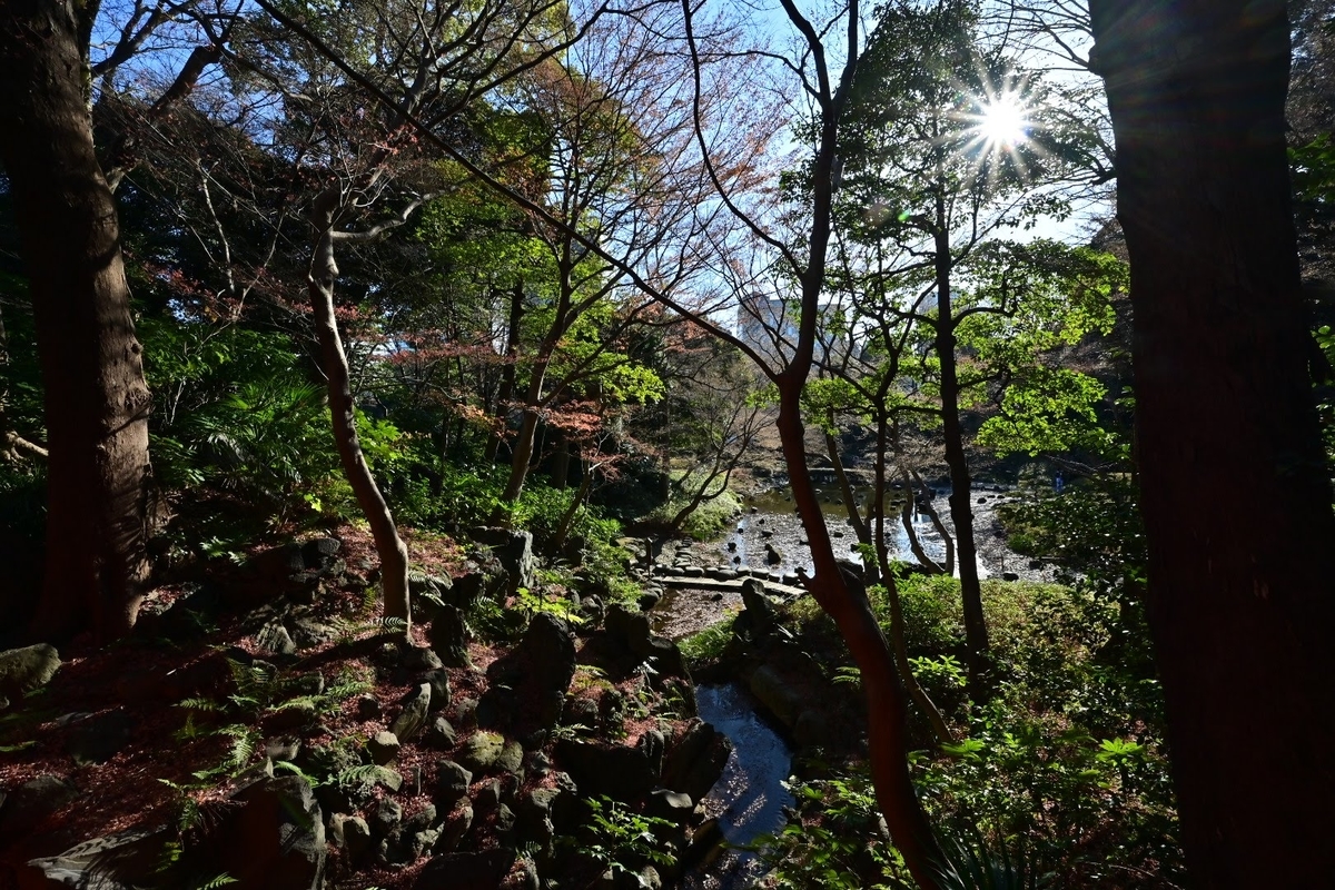 f:id:psato7:20220113071249j:plain