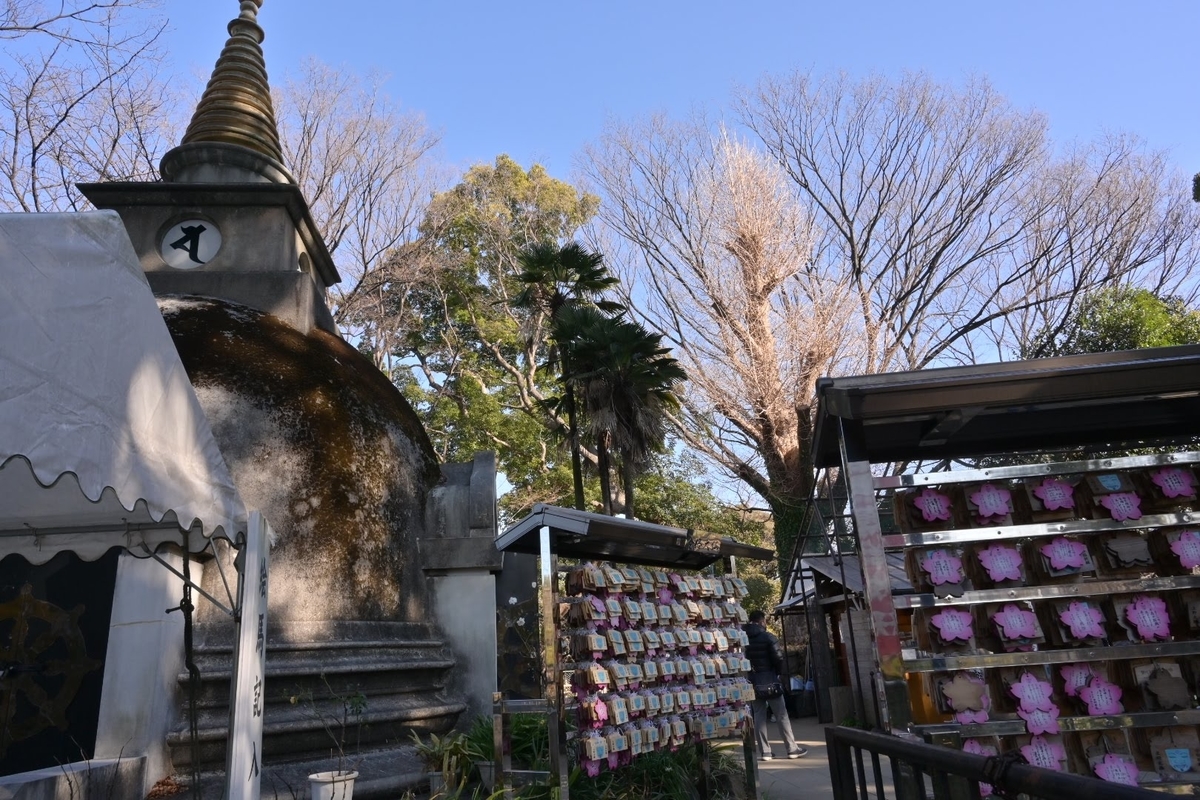 f:id:psato7:20220123070634j:plain