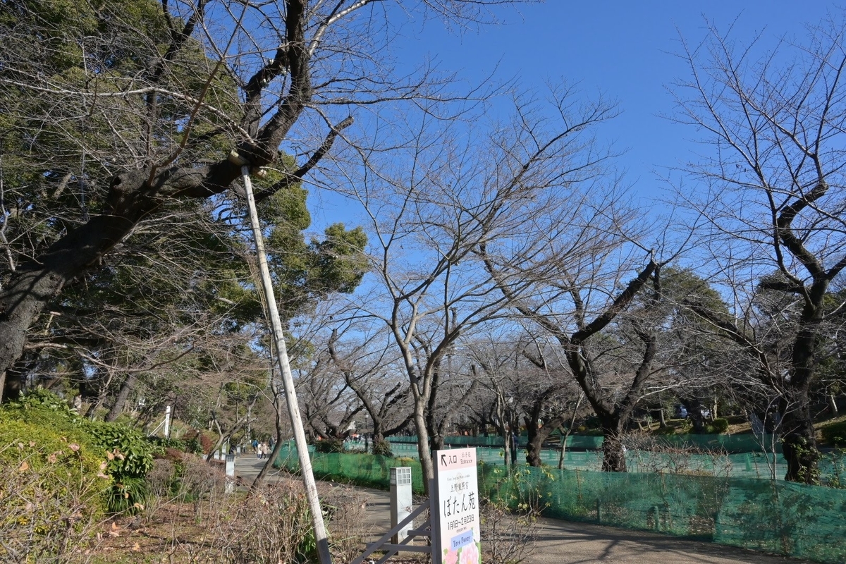 f:id:psato7:20220123070725j:plain