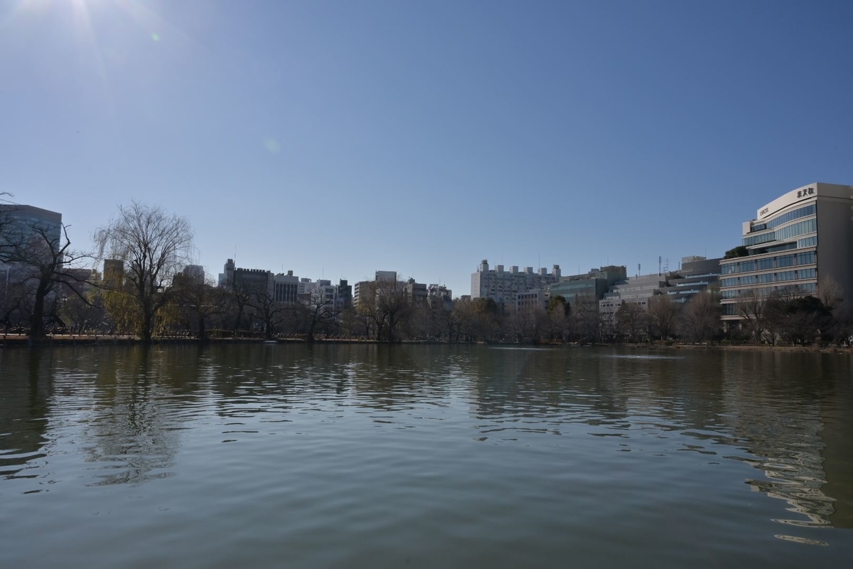 f:id:psato7:20220123071416j:plain