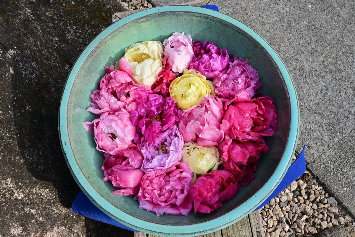 f:id:psato7:20220124073126j:plain