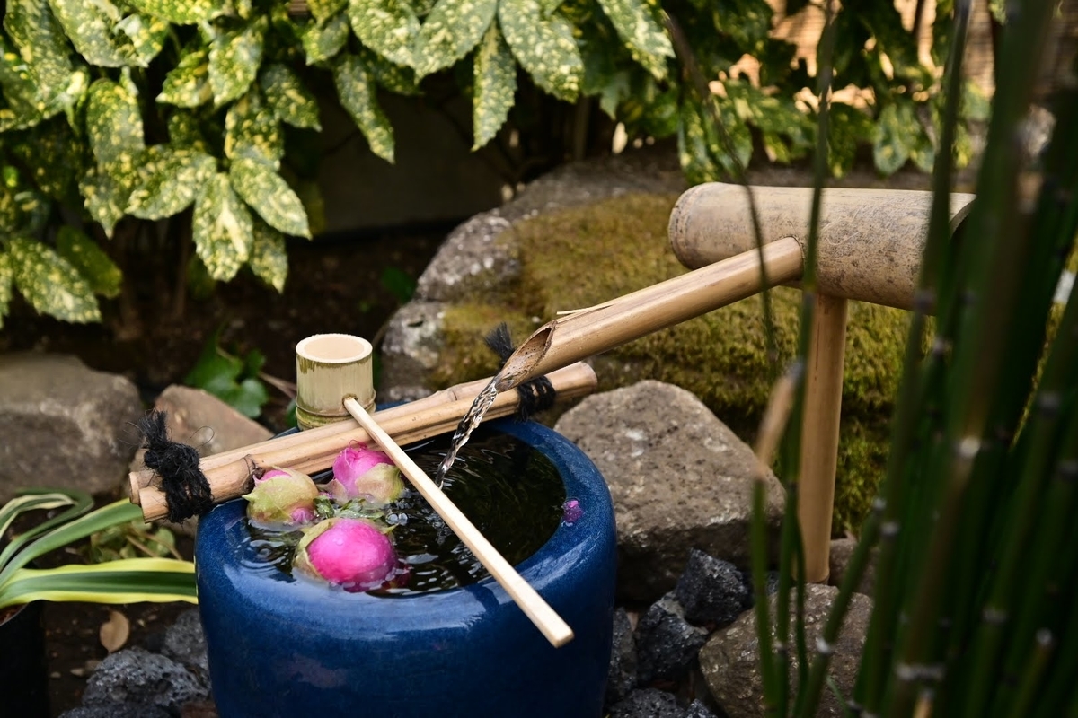 f:id:psato7:20220124123527j:plain