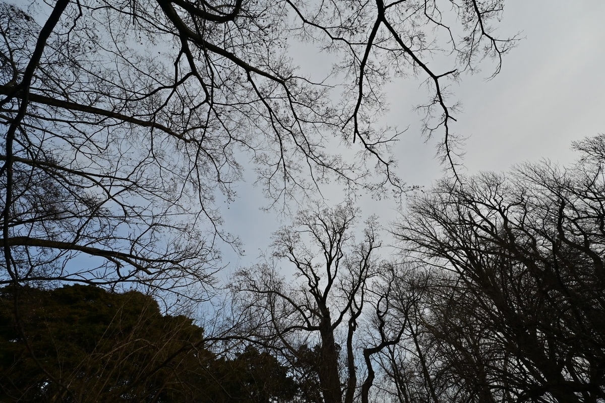 f:id:psato7:20220127072557j:plain