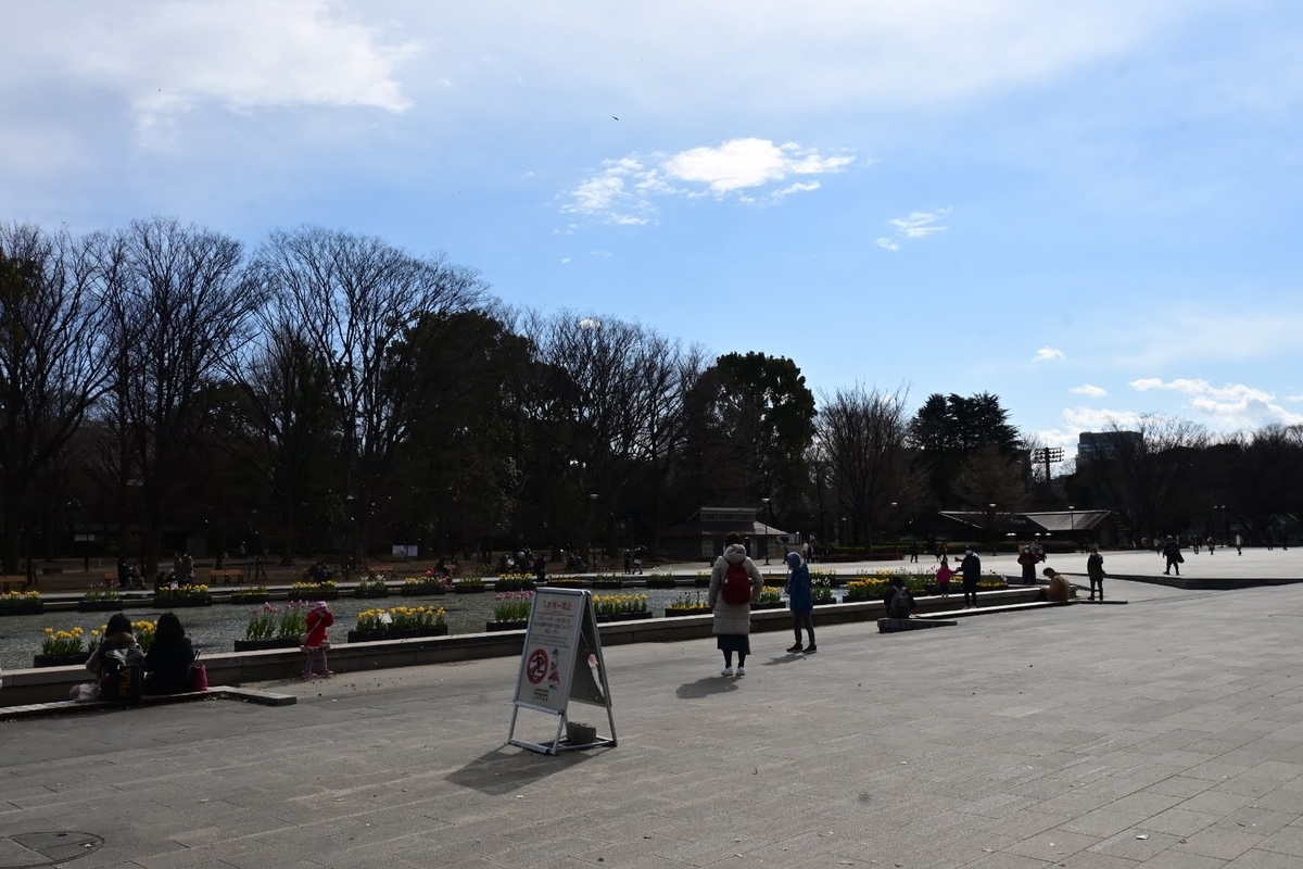 f:id:psato7:20220206132450j:plain